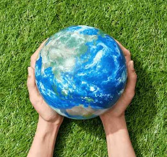 Sustainability Solutions