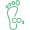 footprint Icon